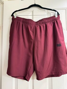 Nike Men's Maroon Athletic Shorts